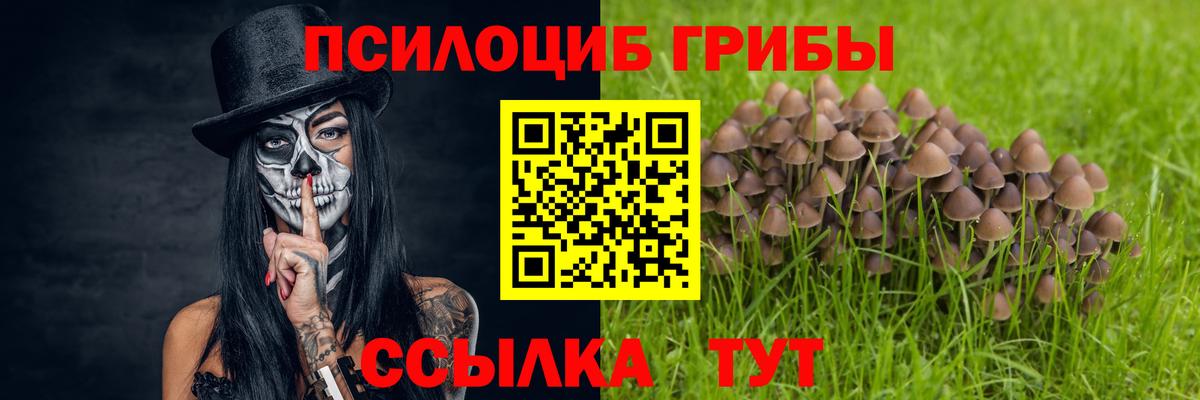 Хабаровск  Псилоцибиновые грибы ЛСД  Галлюциногенные грибы прущие грибы  Вход с VPN 